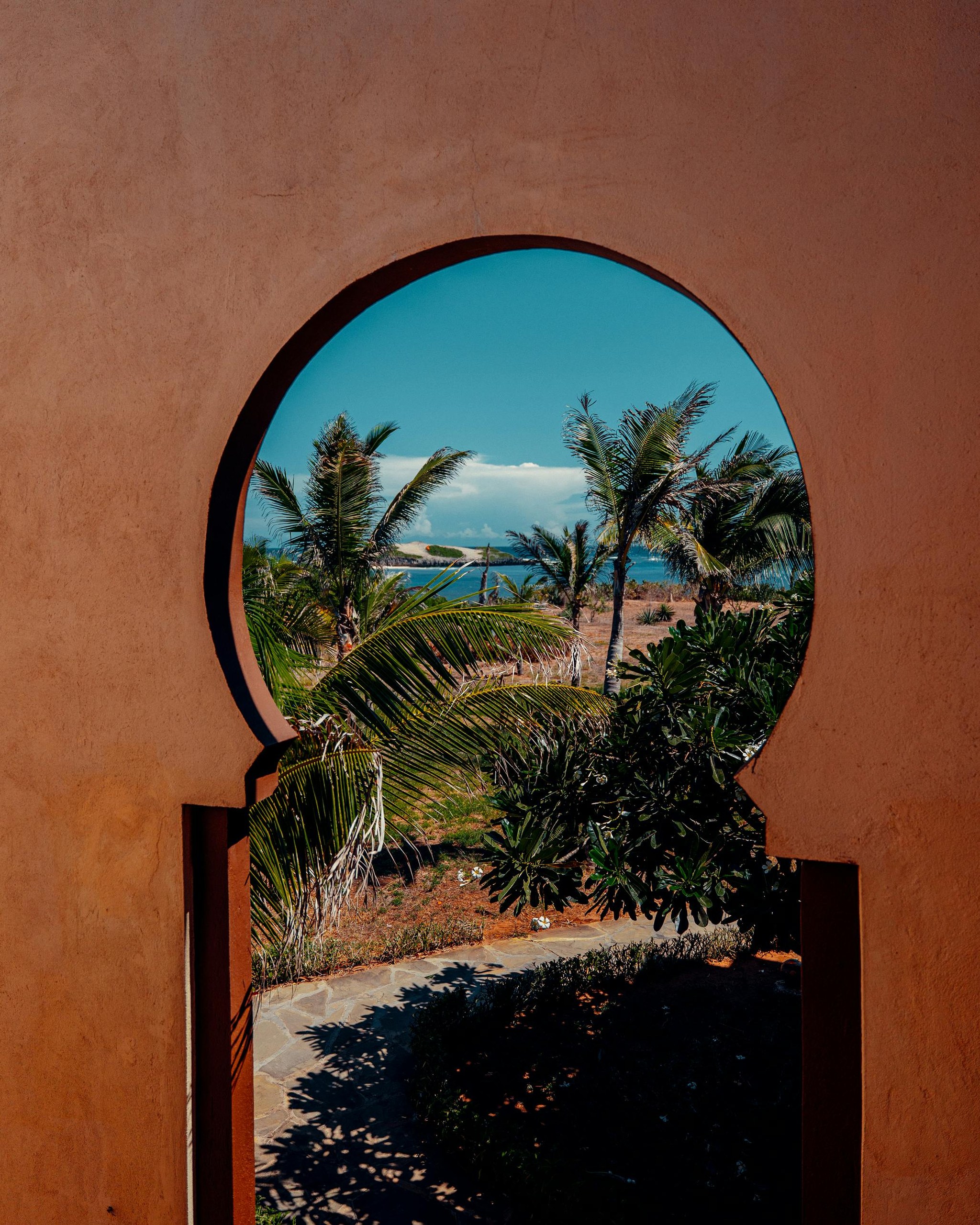 Vida marina en Watamu